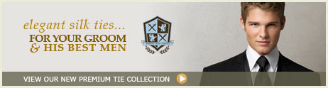 After Six Silk Ties