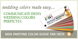 Pantone Color Guide Fan Deck